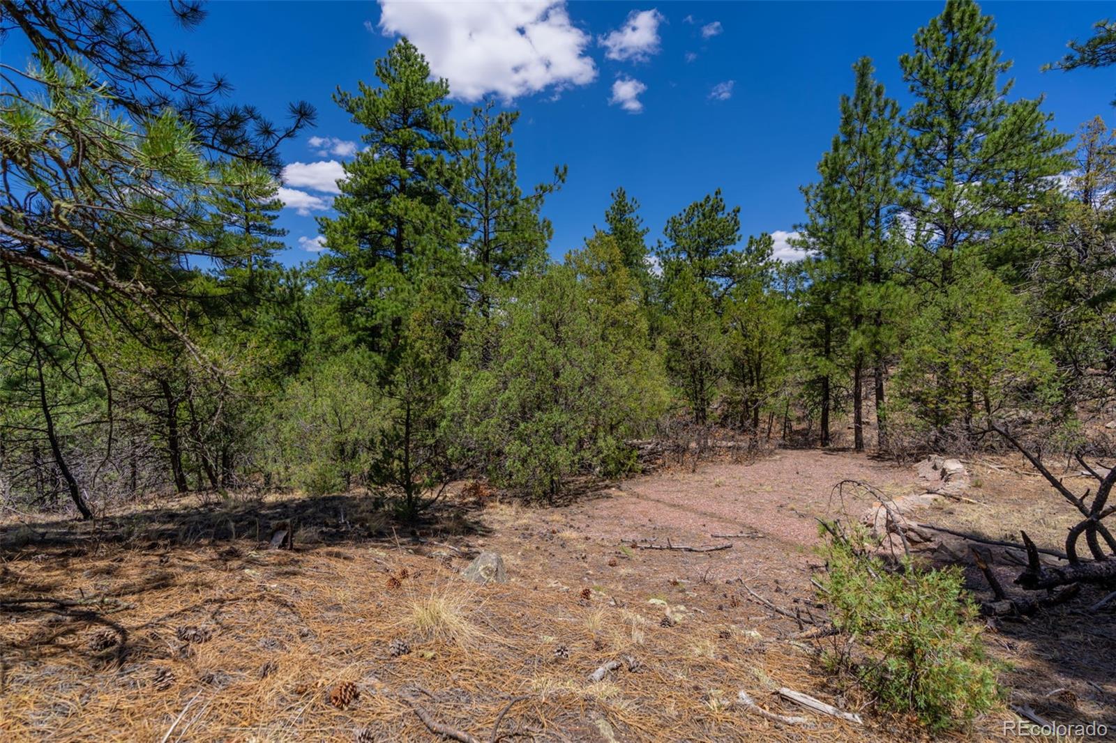 265 Alden Lane Cotopaxi CO 81223