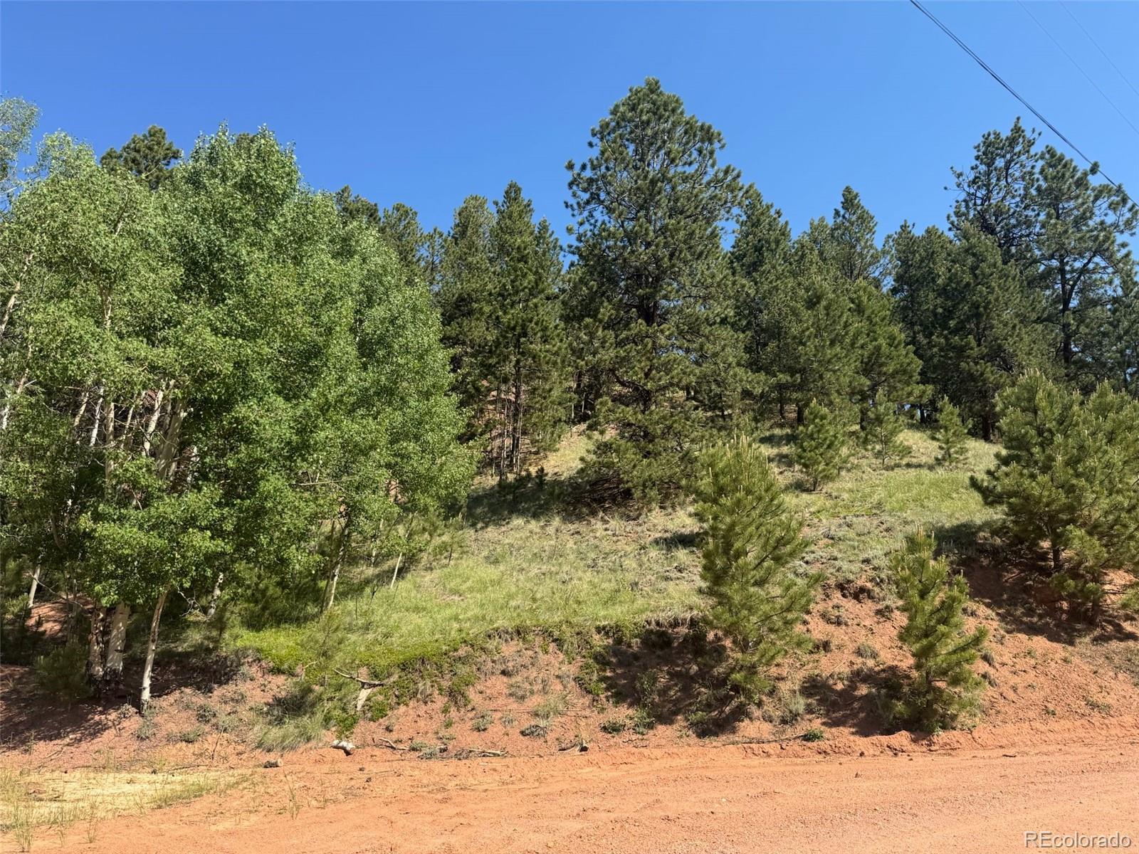 281 Pikes Peak Drive Divide CO 80814