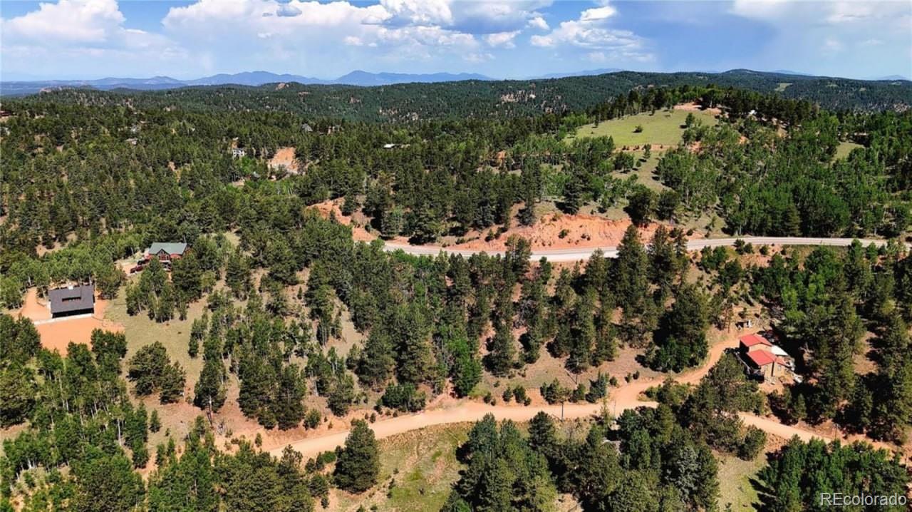 281 Pikes Peak Drive Divide CO 80814