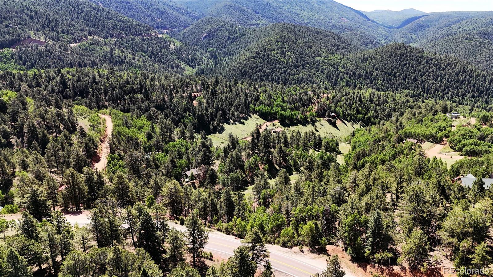 281 Pikes Peak Drive Divide CO 80814