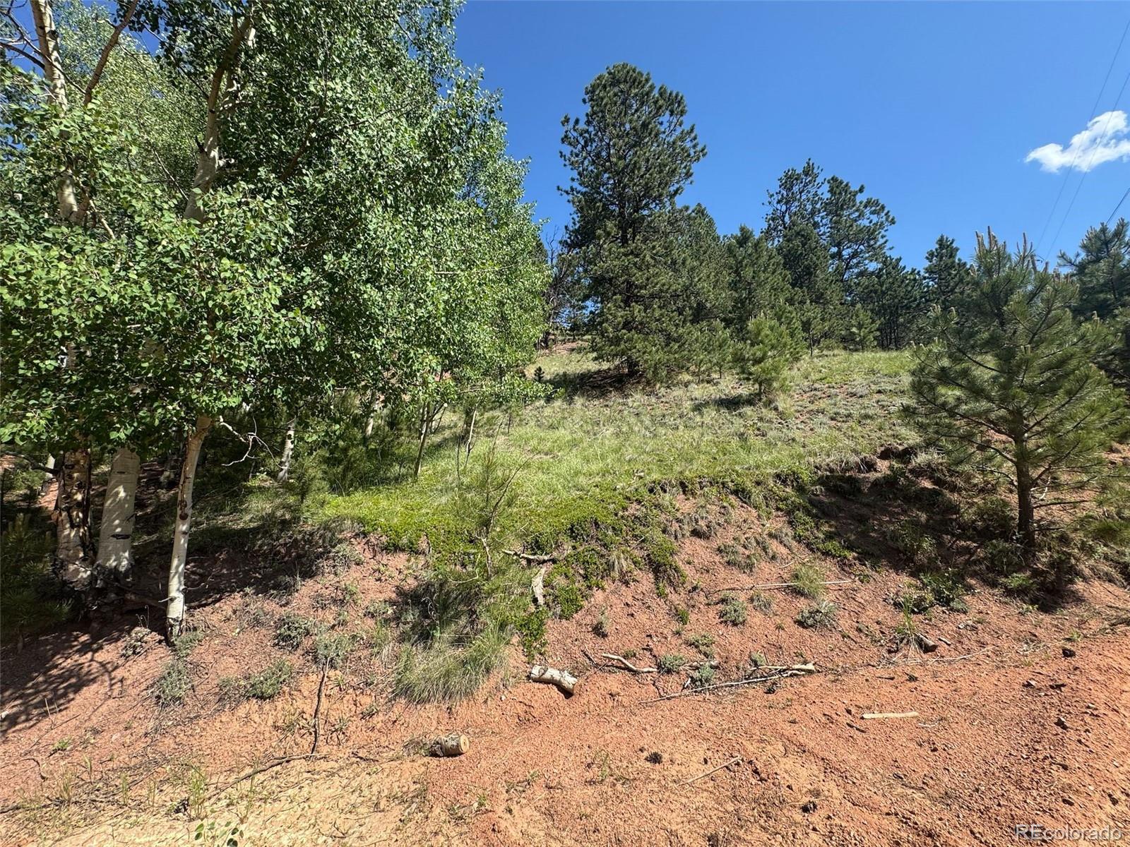 281 Pikes Peak Drive Divide CO 80814