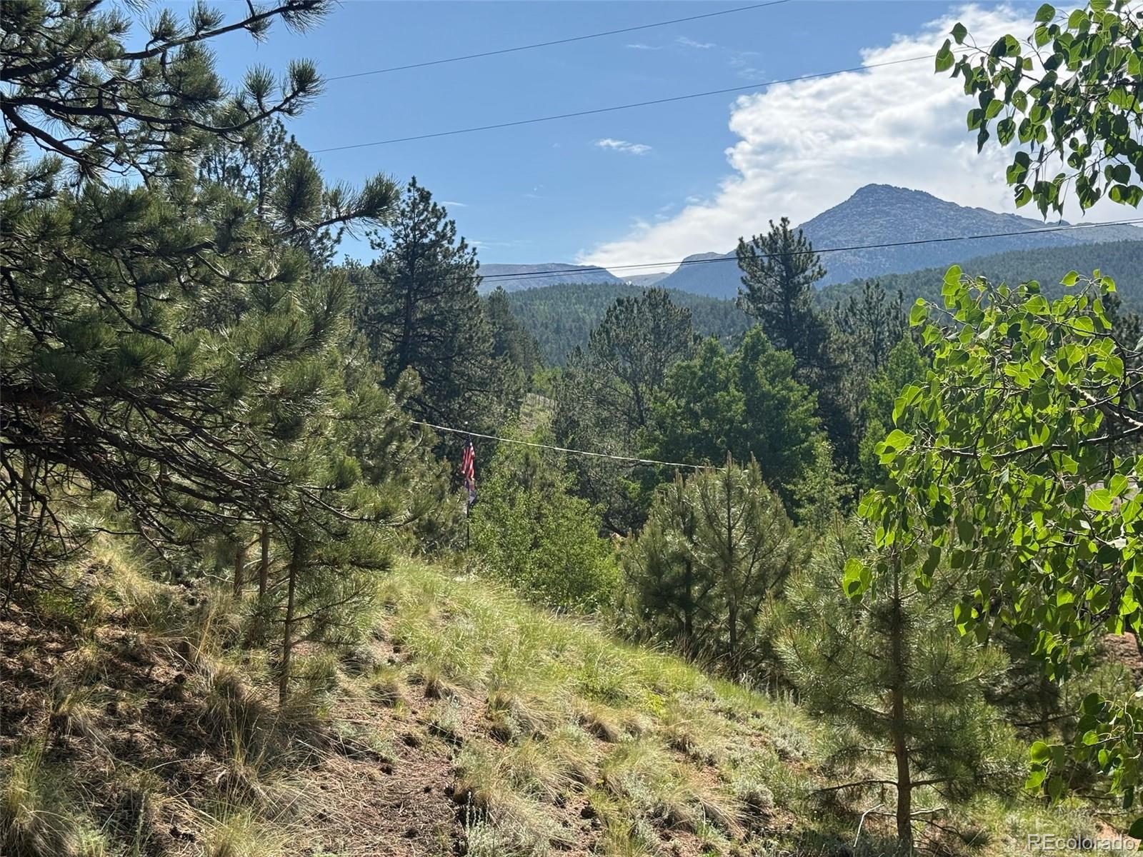 281 Pikes Peak Drive Divide CO 80814