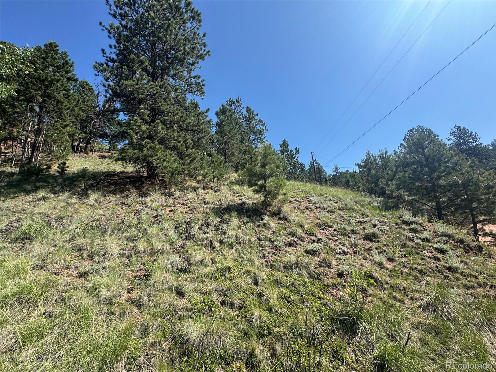 281 Pikes Peak Drive Divide CO 80814
