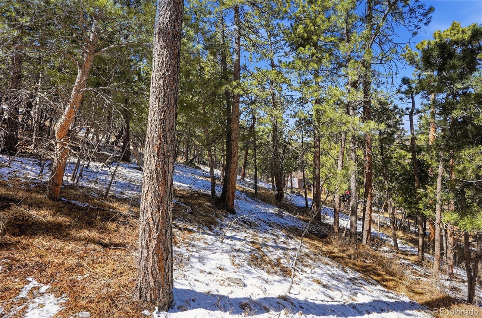 3025 Yucca Drive Evergreen CO 80439