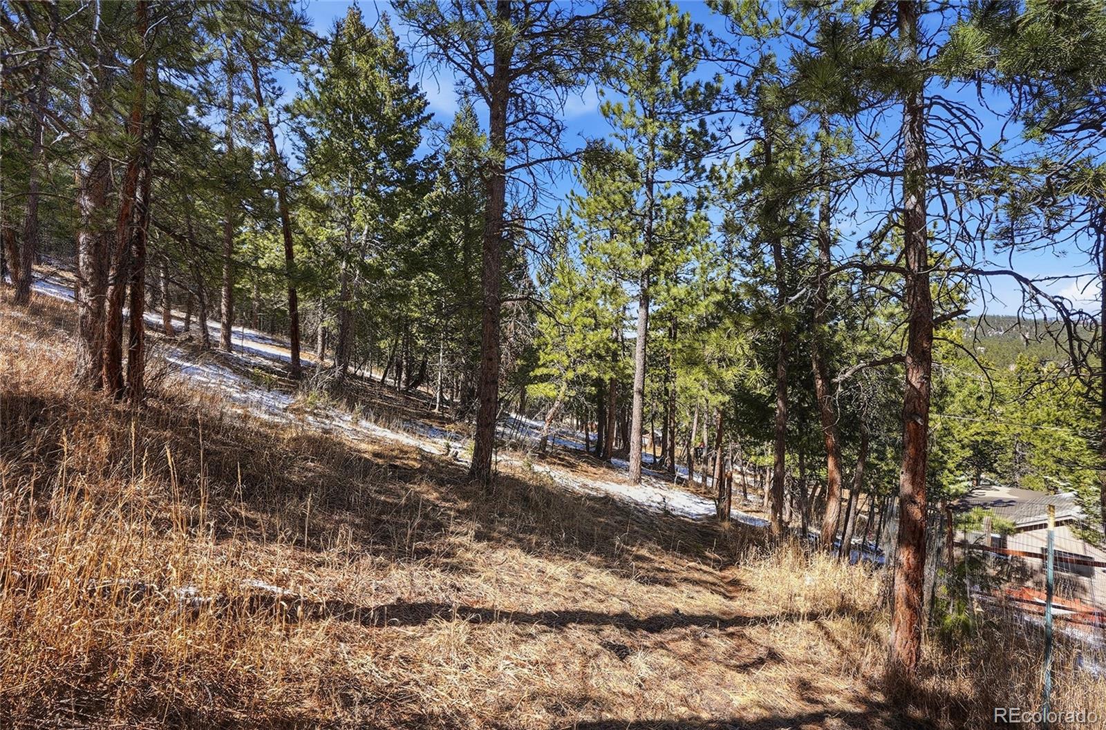 3025 Yucca Drive Evergreen CO 80439