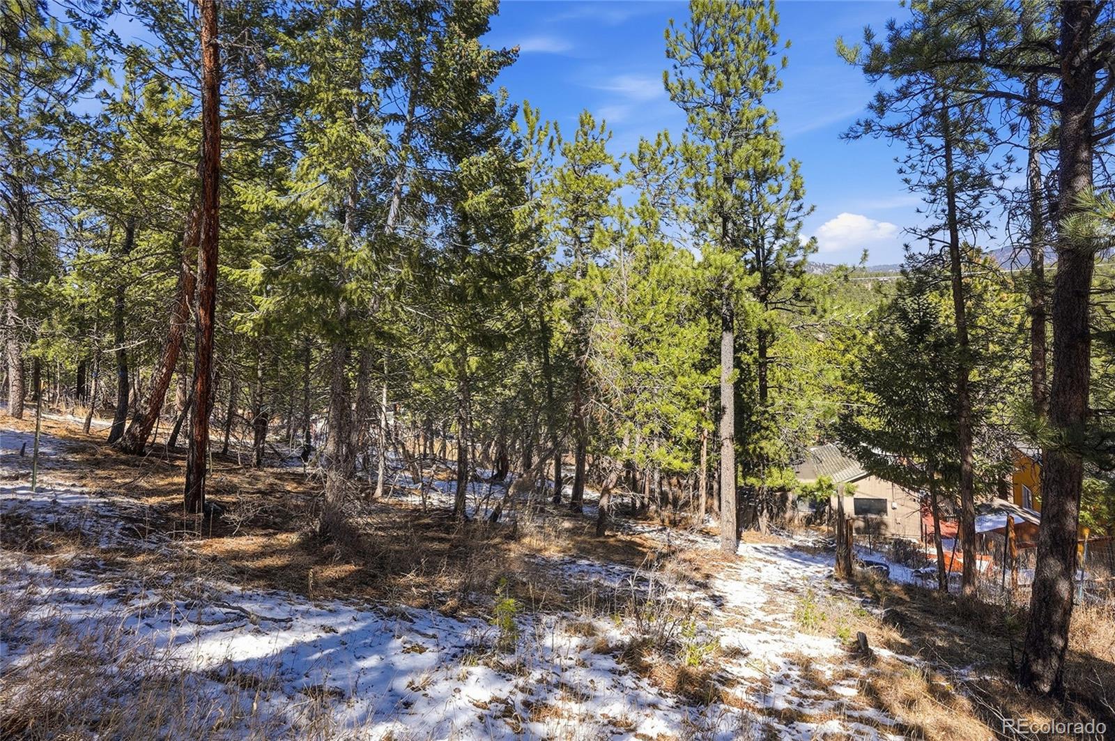 3025 Yucca Drive Evergreen CO 80439