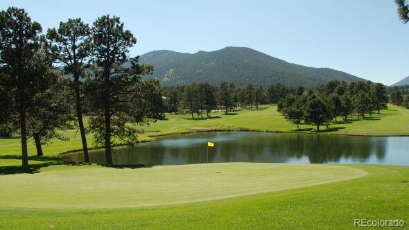 3025 Yucca Drive Evergreen CO 80439