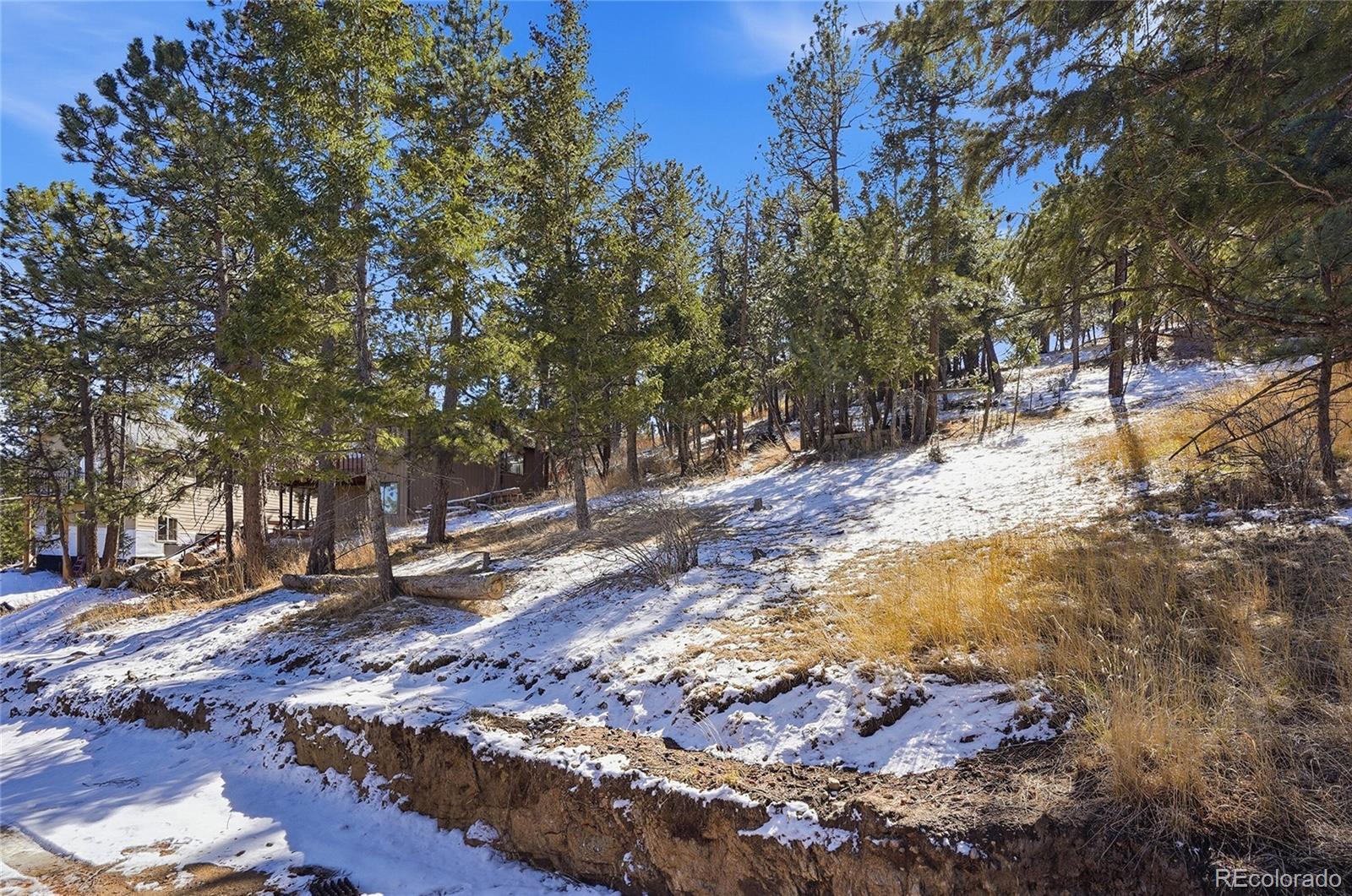 3025 Yucca Drive Evergreen CO 80439