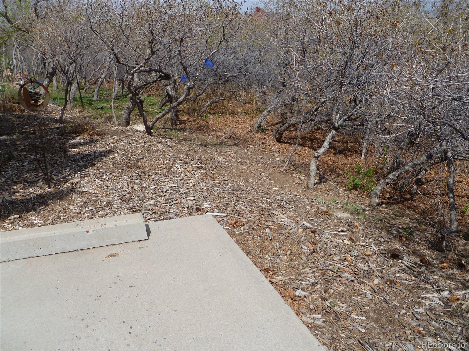 10551 Harebell Run Littleton CO 80125