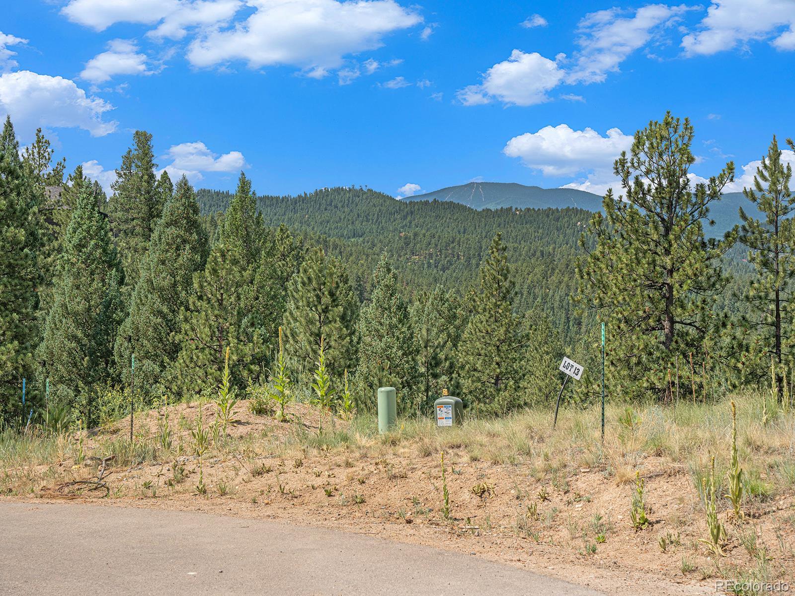 5197 Mountain Vista Lane Evergreen CO 80439