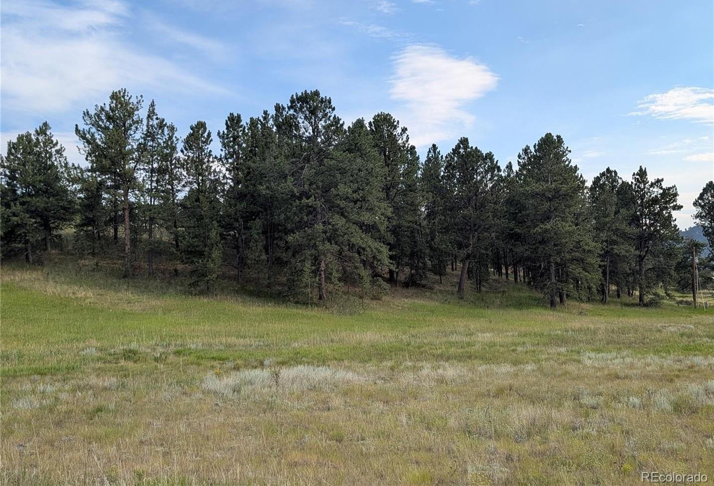 1379 S Mountain Estates Road Florissant CO 80816
