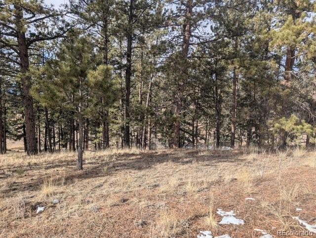1379 S Mountain Estates Road Florissant CO 80816
