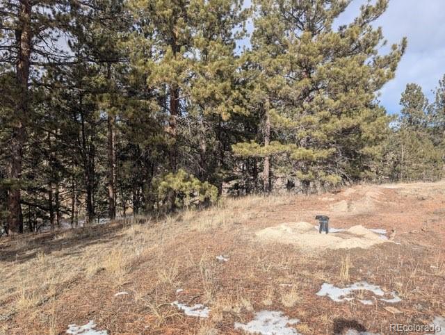 1379 S Mountain Estates Road Florissant CO 80816