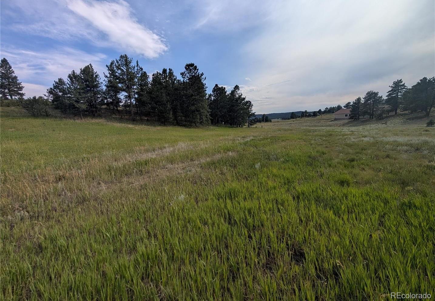 1379 S Mountain Estates Road Florissant CO 80816