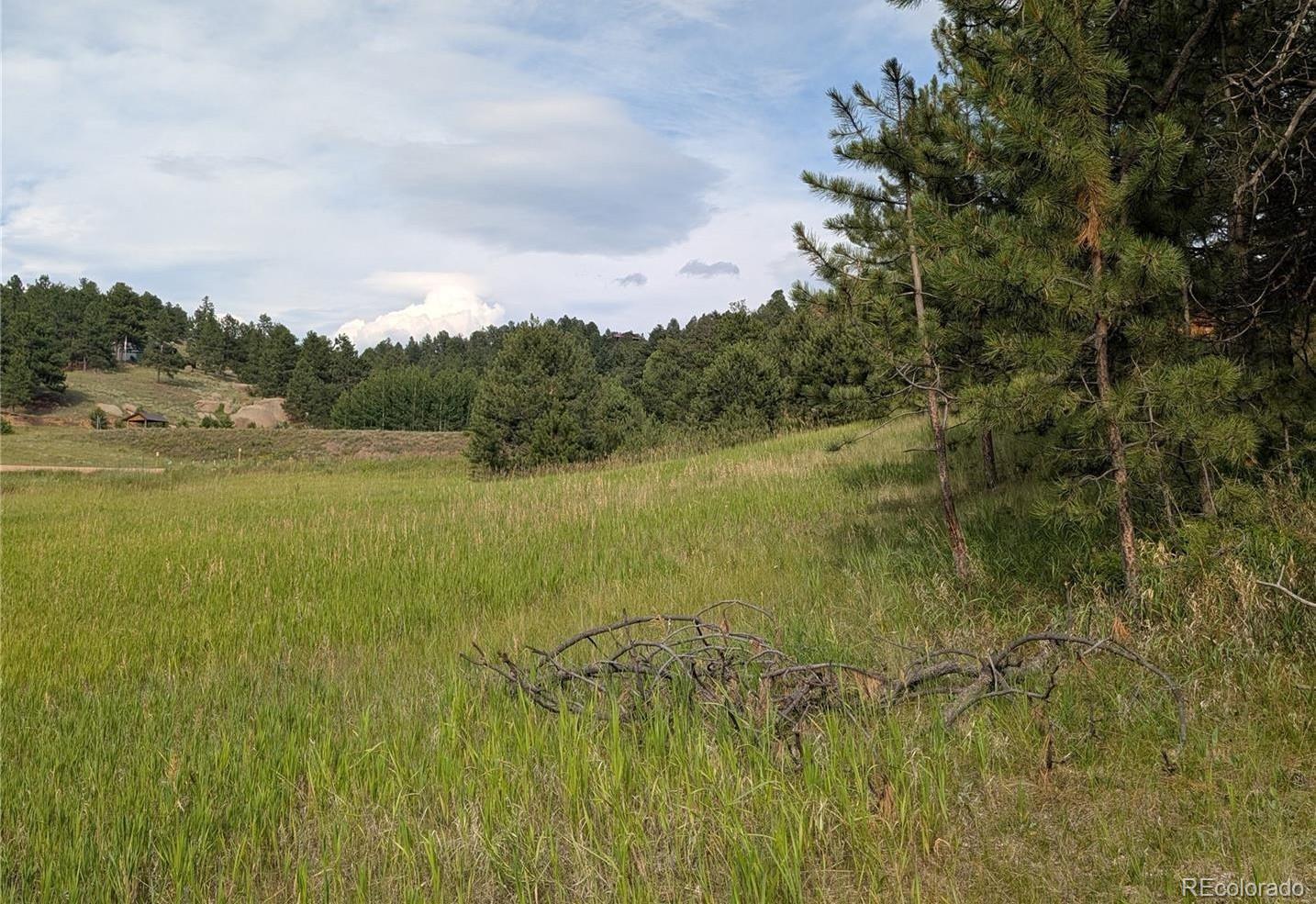 1379 S Mountain Estates Road Florissant CO 80816