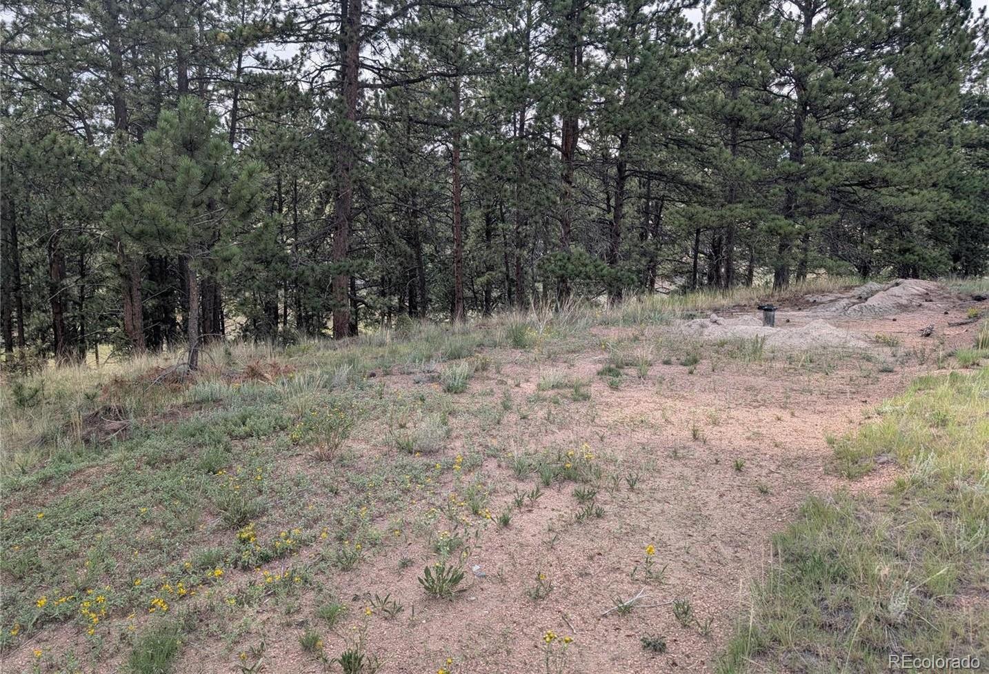 1379 S Mountain Estates Road Florissant CO 80816