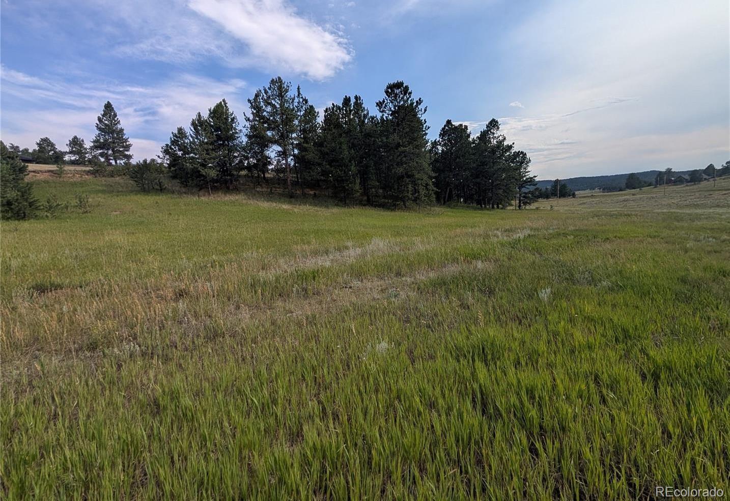 1379 S Mountain Estates Road Florissant CO 80816