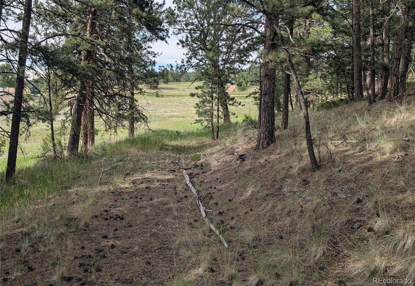 1379 S Mountain Estates Road Florissant CO 80816