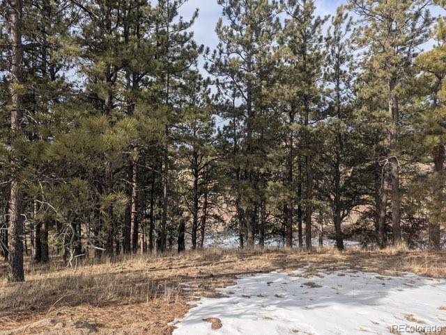 1379 S Mountain Estates Road Florissant CO 80816