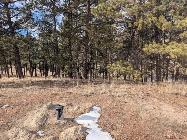 1379 S Mountain Estates Road Florissant CO 80816