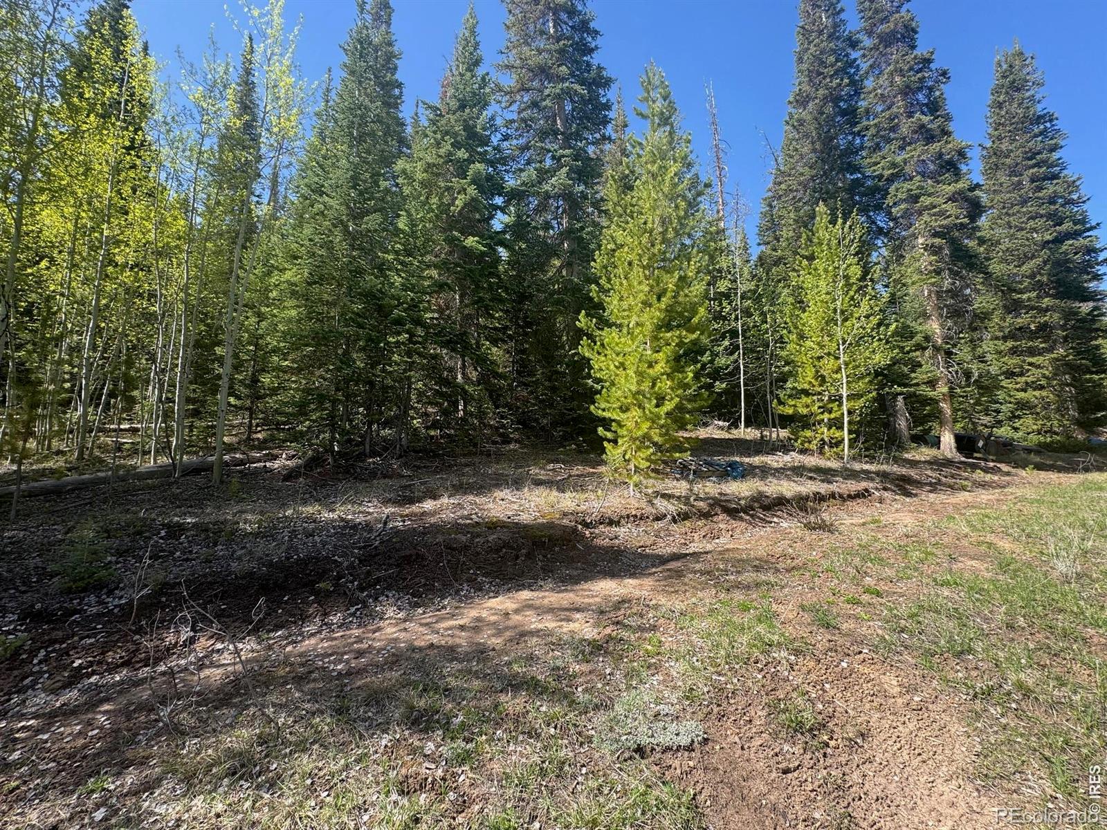 44 Wilderness Road Walden CO 80480