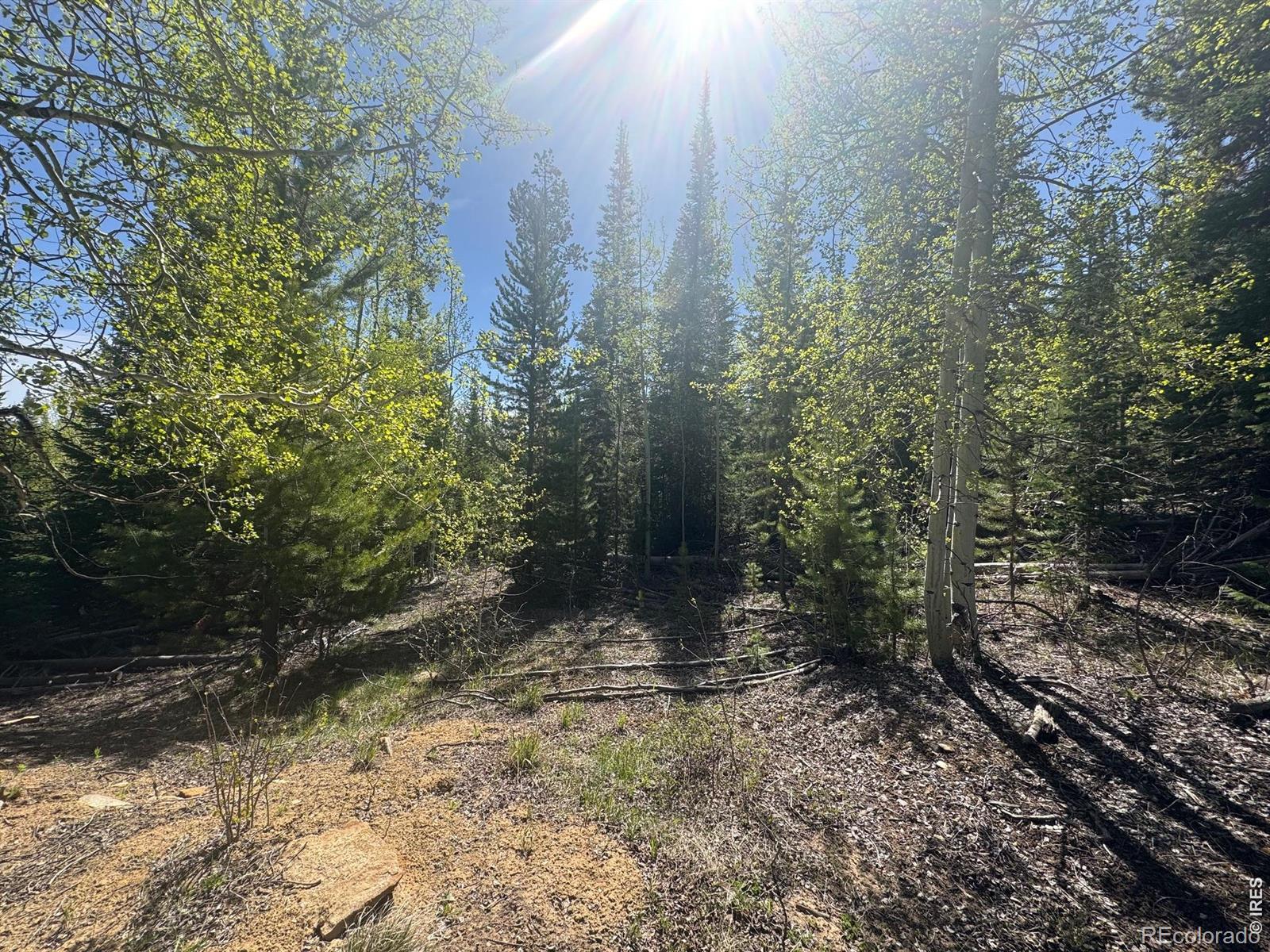 44 Wilderness Road Walden CO 80480
