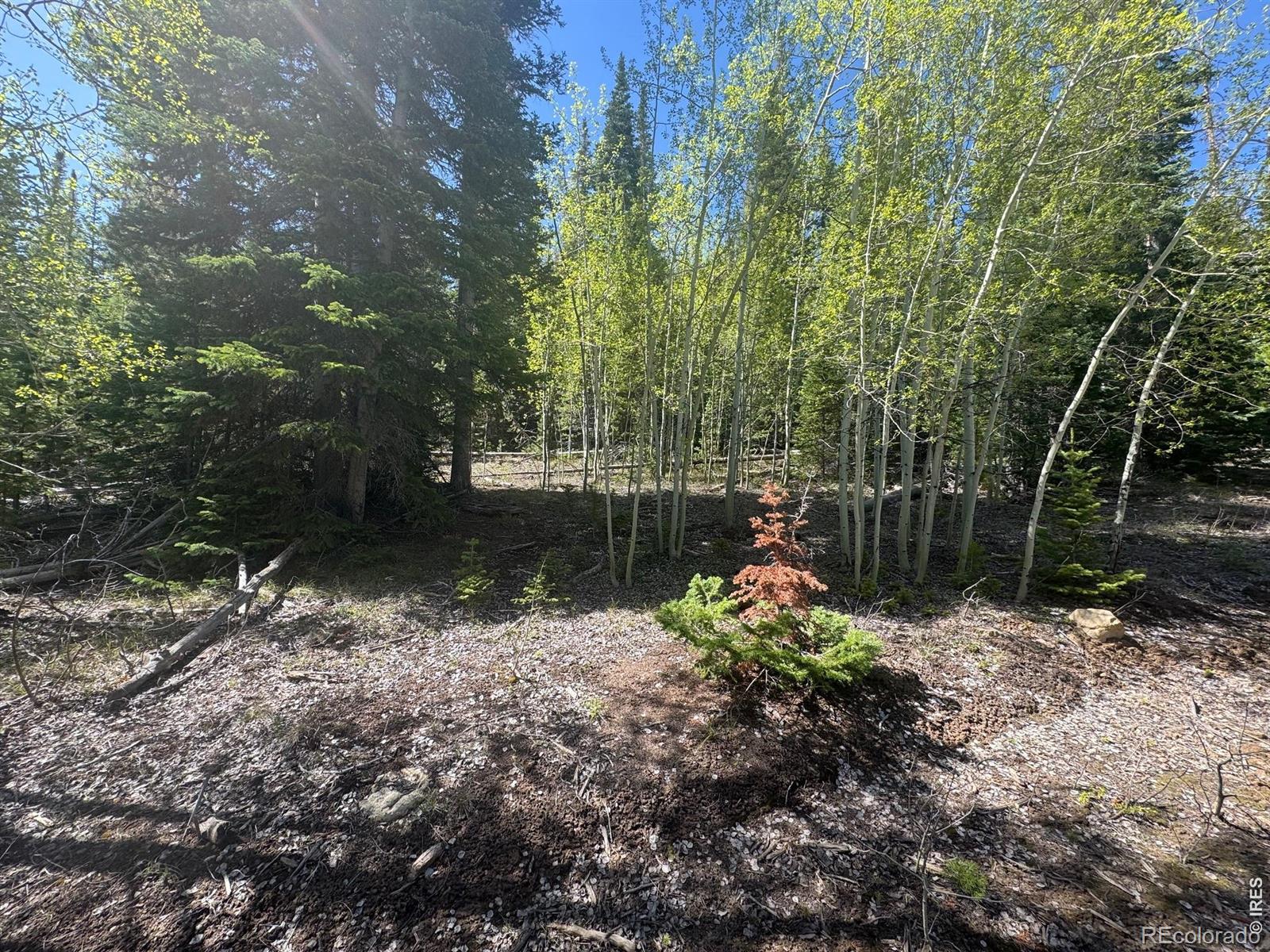44 Wilderness Road Walden CO 80480