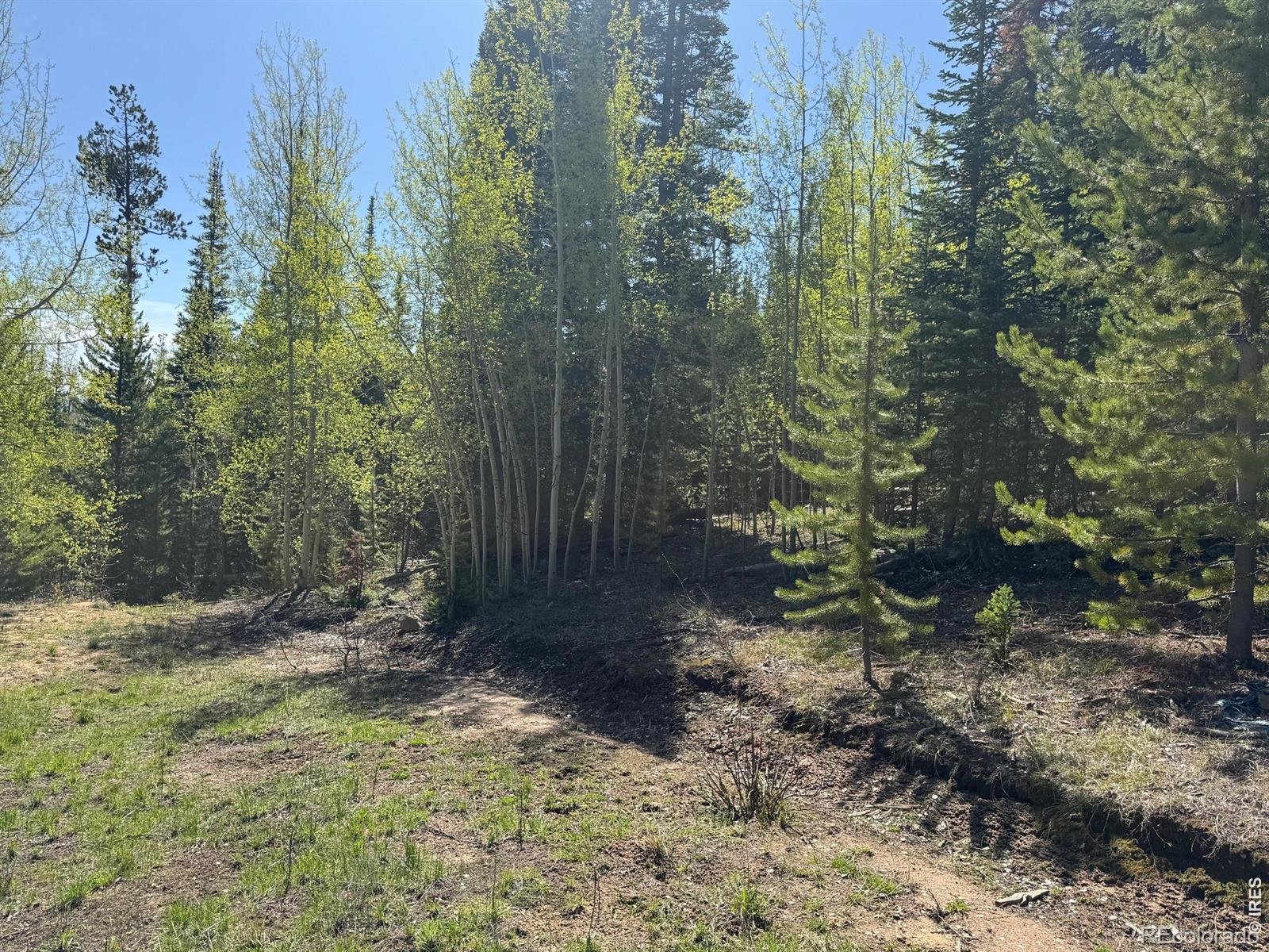 44 Wilderness Road Walden CO 80480