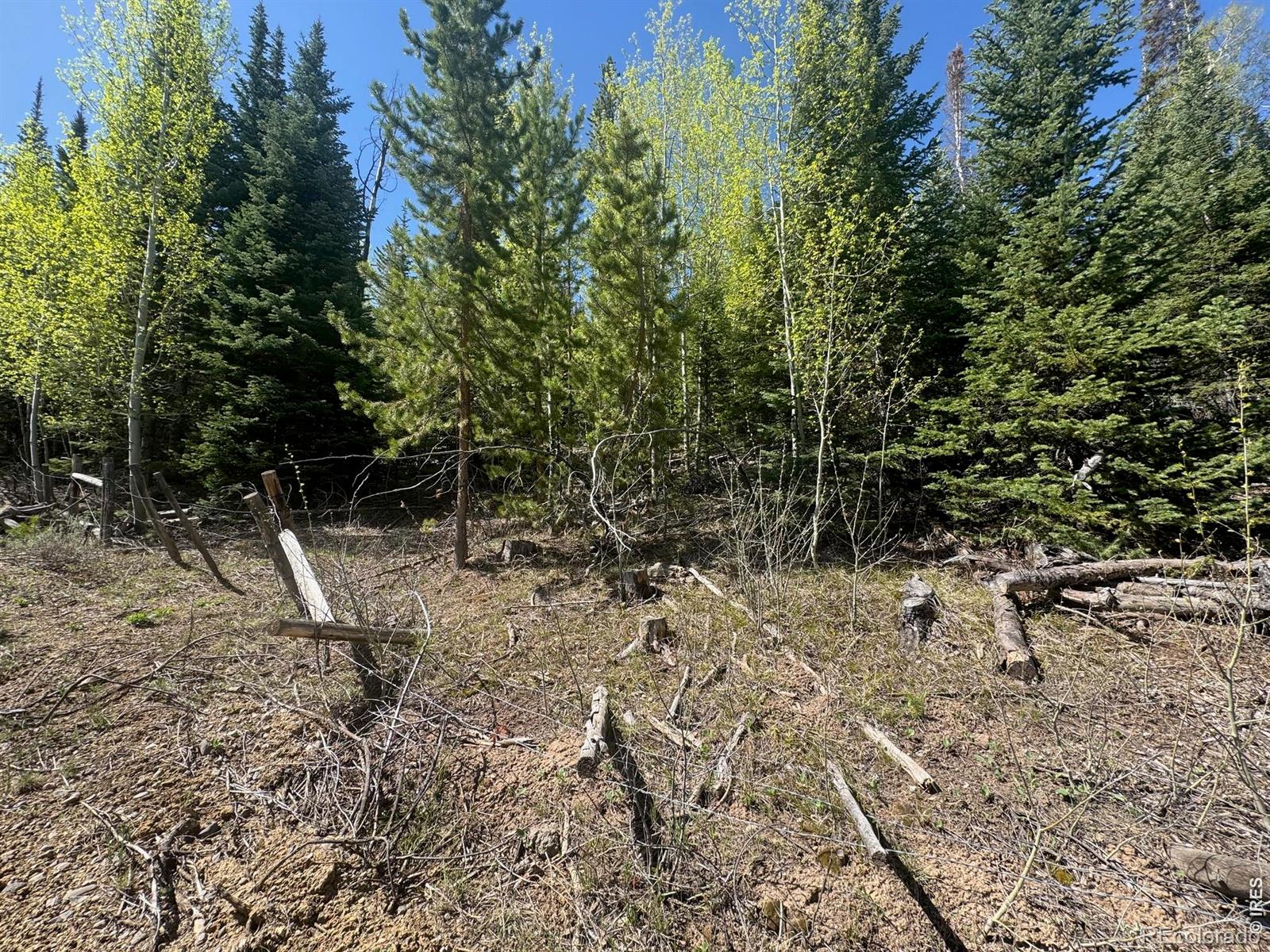 44 Wilderness Road Walden CO 80480