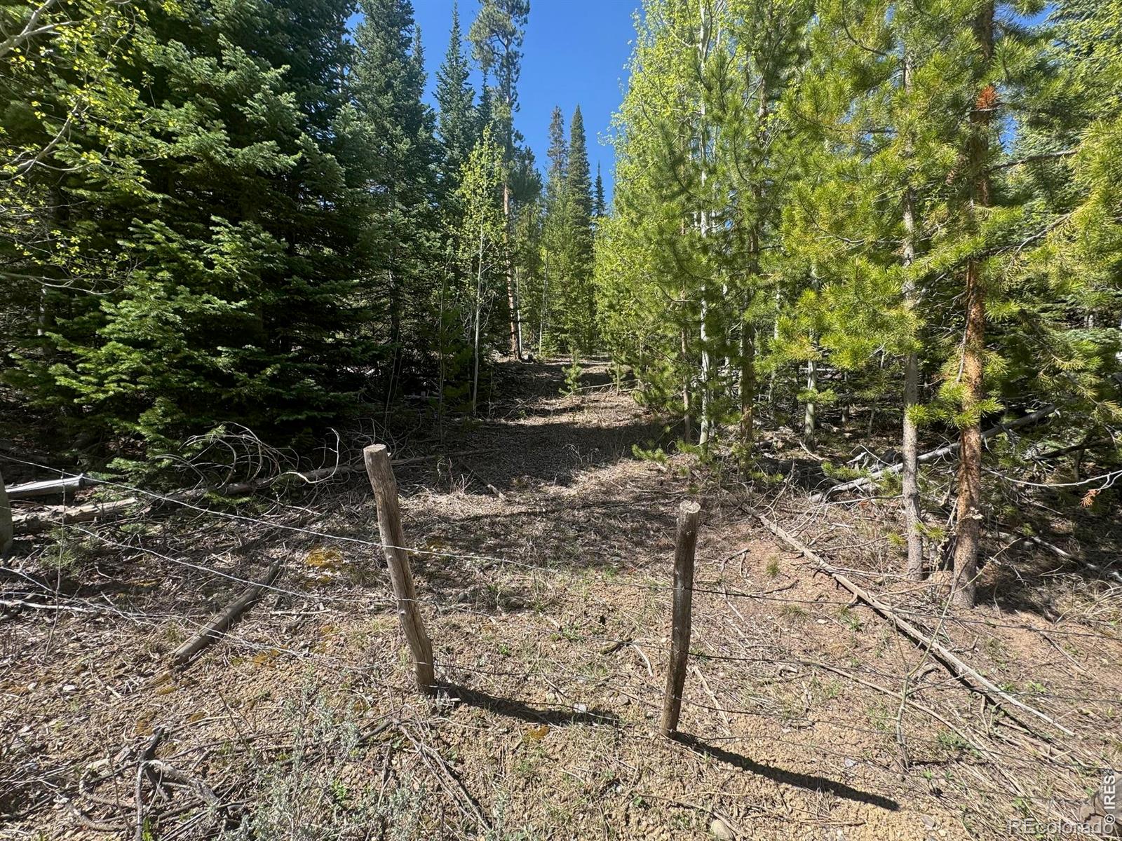 44 Wilderness Road Walden CO 80480