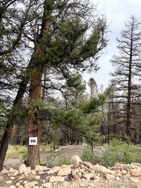 0 Middle Fork Vista Fairplay CO 80440