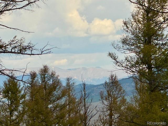 0 Middle Fork Vista Fairplay CO 80440