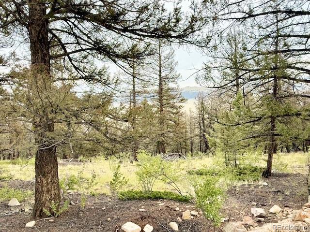 0 Middle Fork Vista Fairplay CO 80440