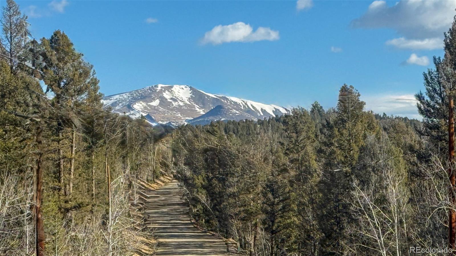 3132 Middle Fork Vista Fairplay CO 80440
