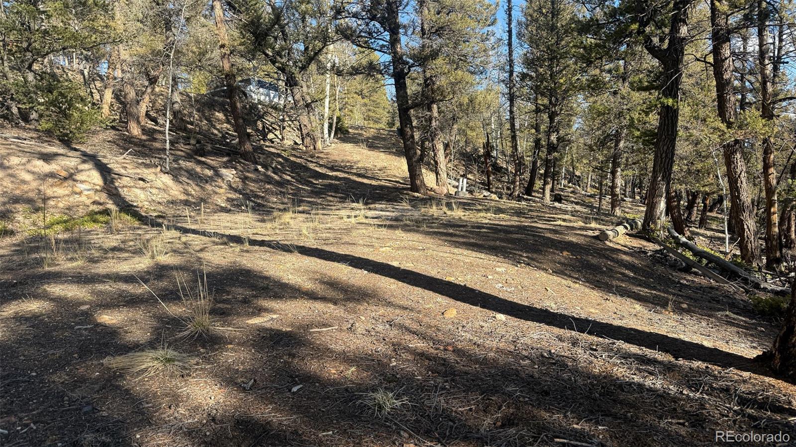 3132 Middle Fork Vista Fairplay CO 80440
