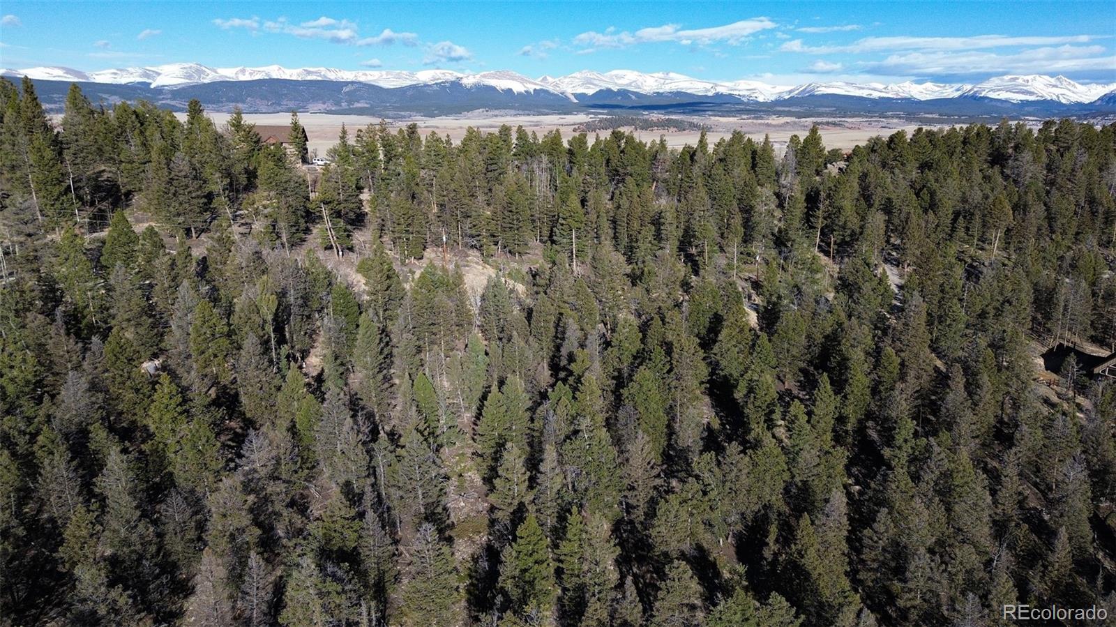 3132 Middle Fork Vista Fairplay CO 80440