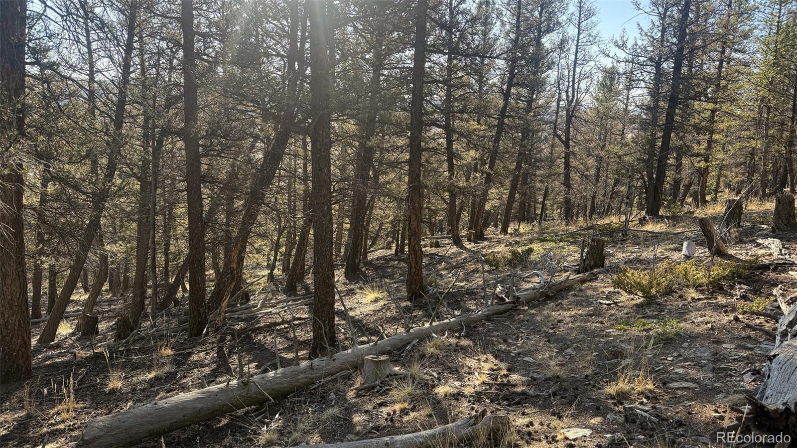 3132 Middle Fork Vista Fairplay CO 80440
