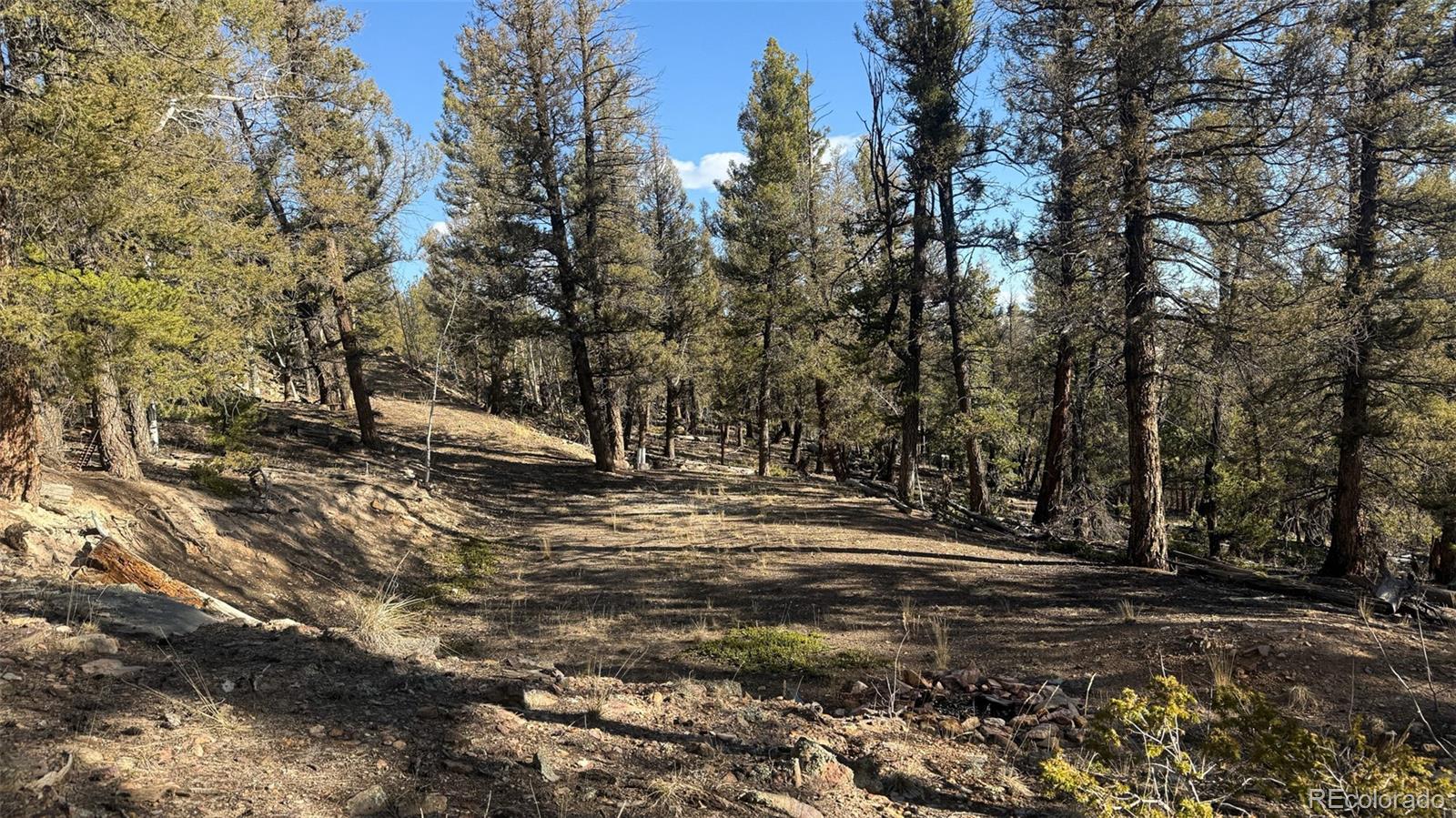 3132 Middle Fork Vista Fairplay CO 80440