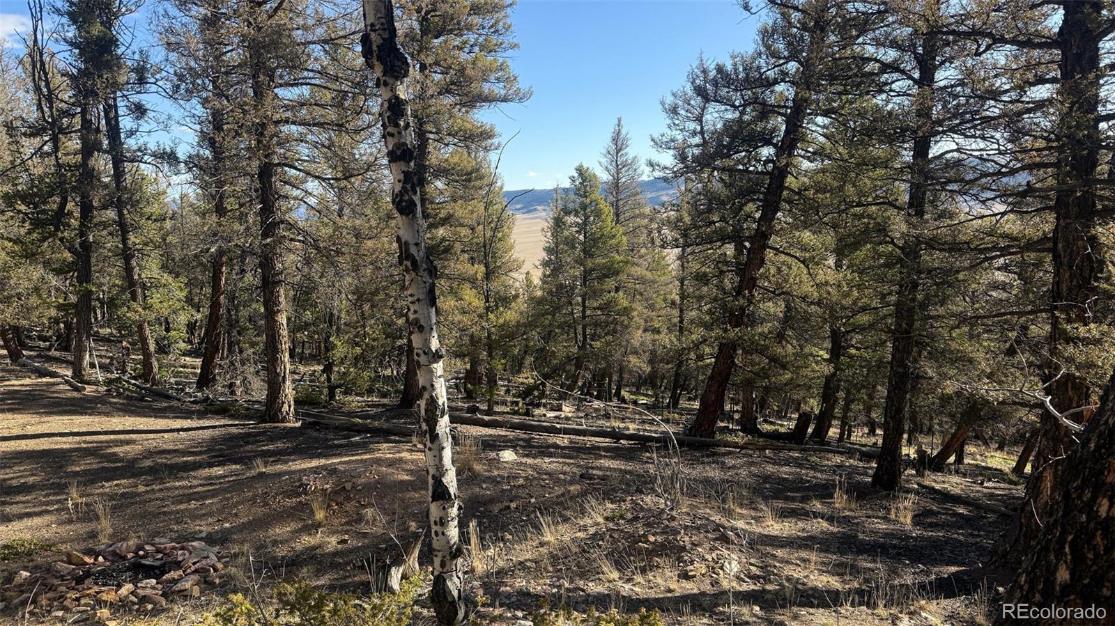 3132 Middle Fork Vista Fairplay CO 80440