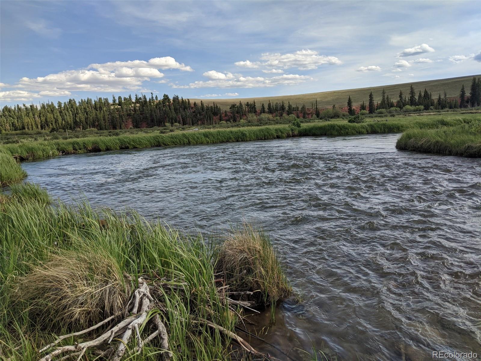 3132 Middle Fork Vista Fairplay CO 80440