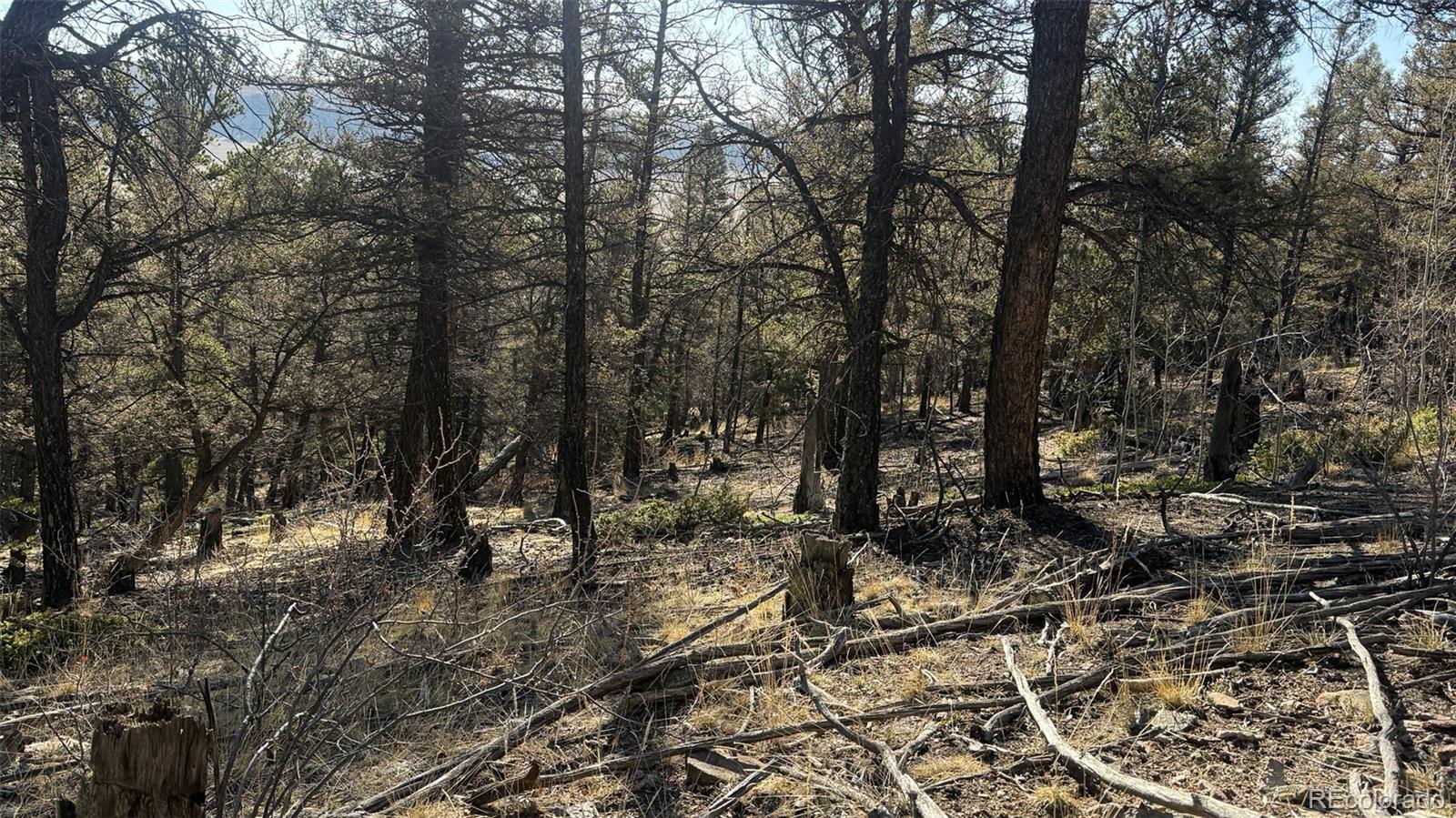 3132 Middle Fork Vista Fairplay CO 80440