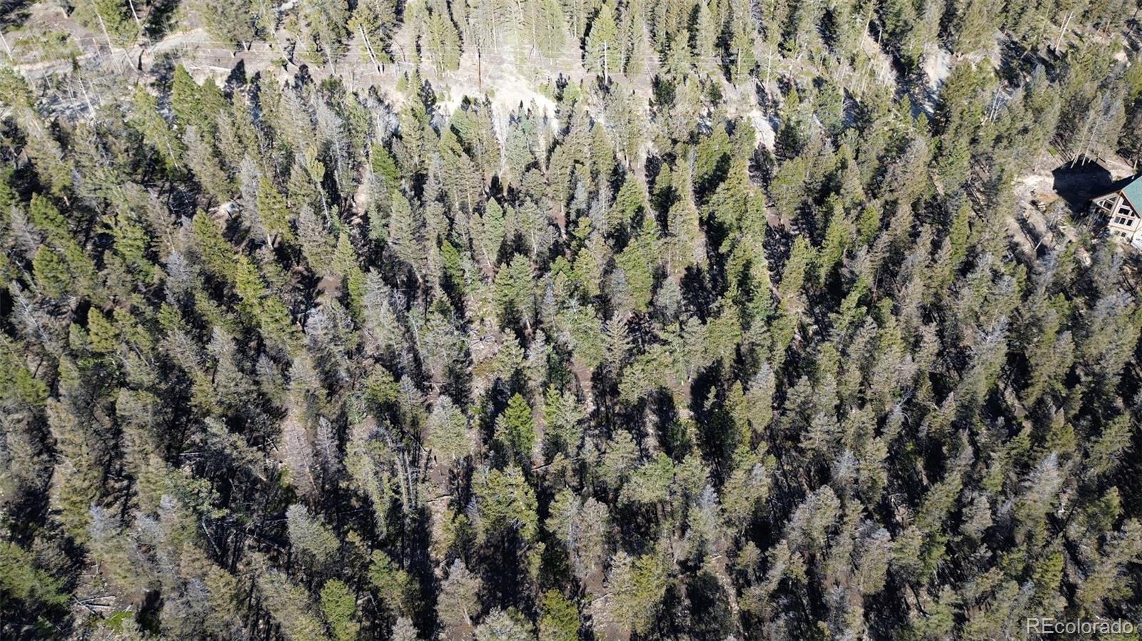 3132 Middle Fork Vista Fairplay CO 80440