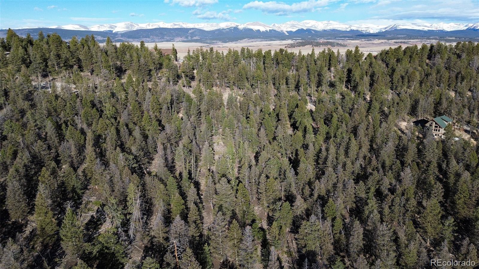 3132 Middle Fork Vista Fairplay CO 80440