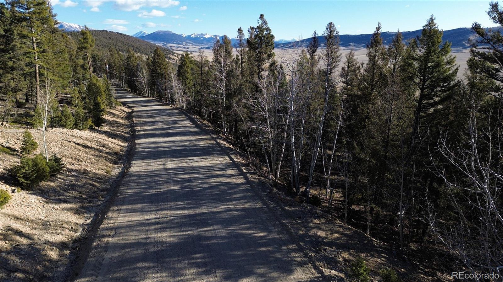 3132 Middle Fork Vista Fairplay CO 80440