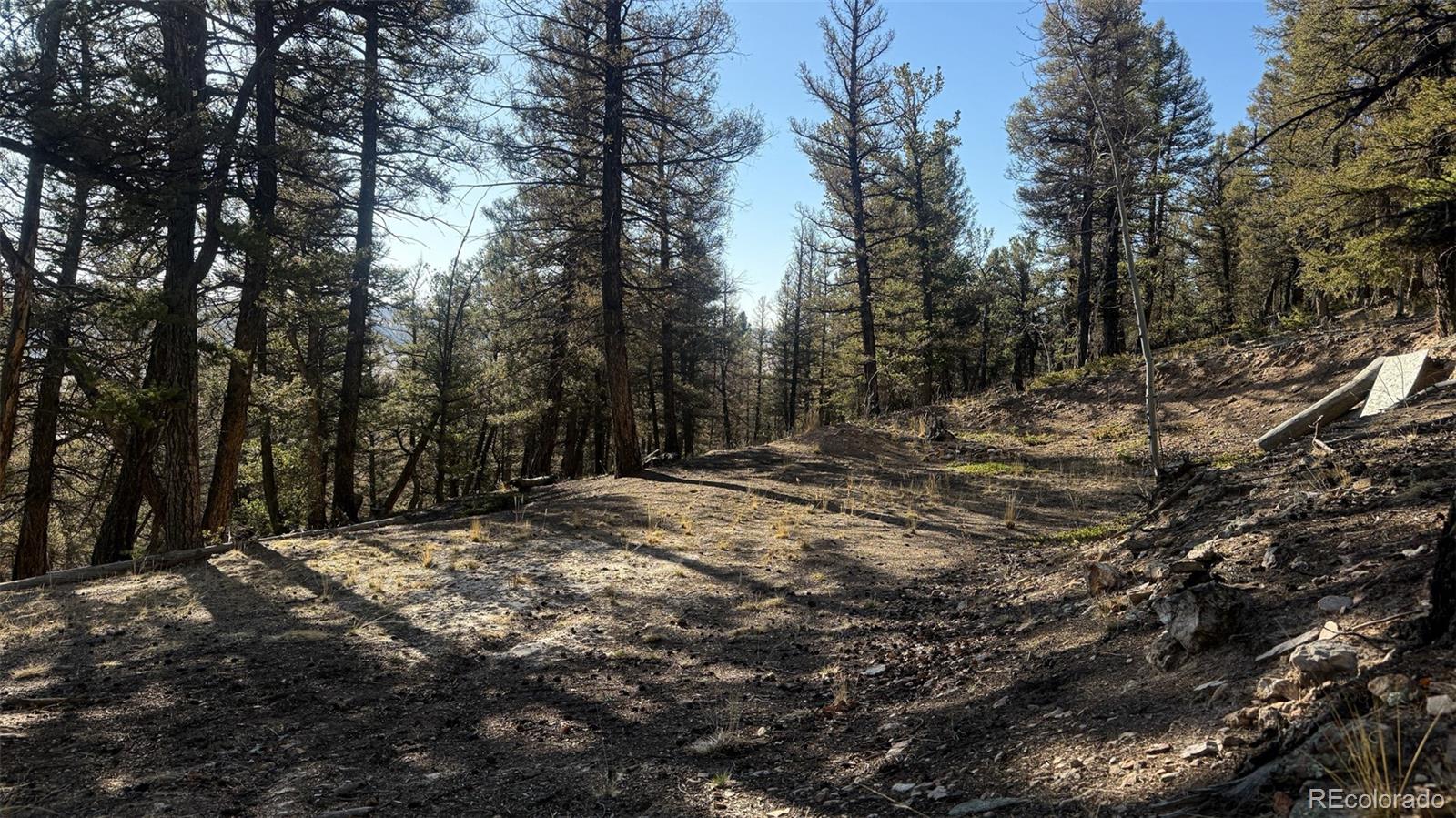 3132 Middle Fork Vista Fairplay CO 80440