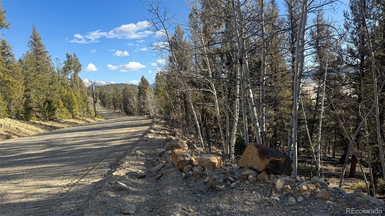 3132 Middle Fork Vista Fairplay CO 80440