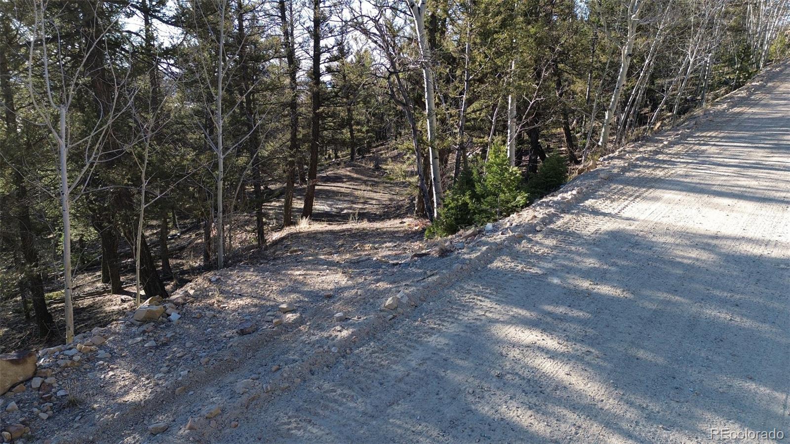 3132 Middle Fork Vista Fairplay CO 80440