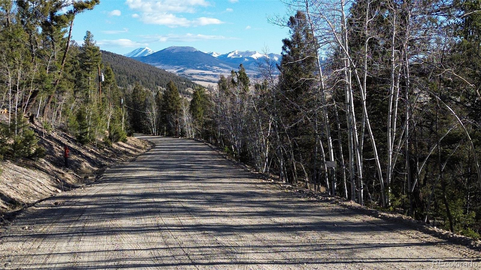 3132 Middle Fork Vista Fairplay CO 80440