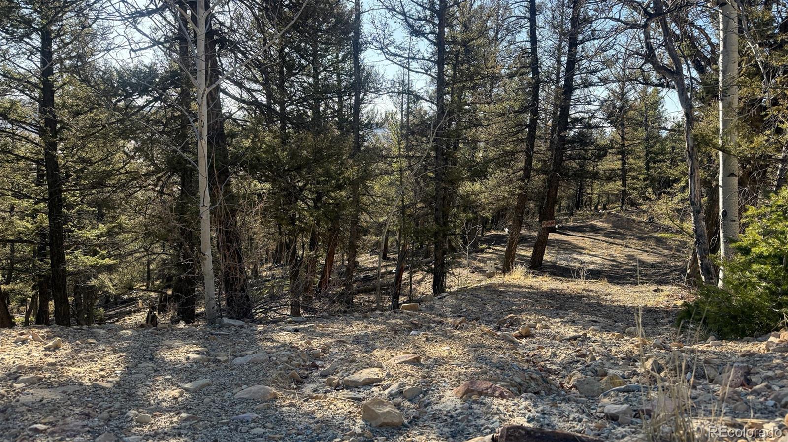 3132 Middle Fork Vista Fairplay CO 80440
