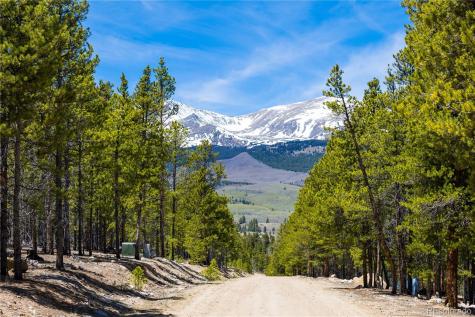 758 Spruce Drive Twin Lakes CO 80461
